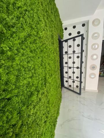 Suite 43 Terrasini Ngoại thất bức ảnh